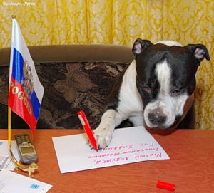 Виктория Демьянцева