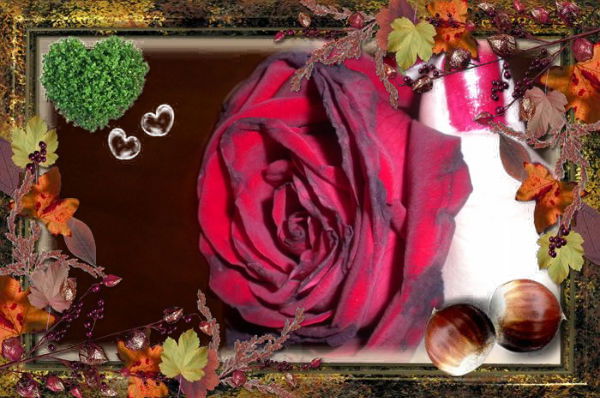 Наденька Надежда