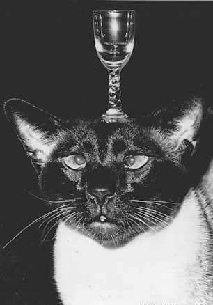 Игорь Андрианов