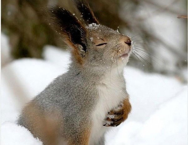 Галина Зубкова