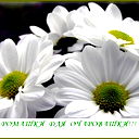 Марина Гаёва