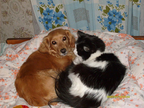 Ирина Удалова