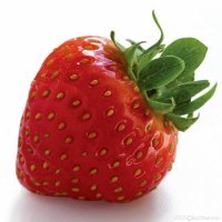 Светлана Сбитнева