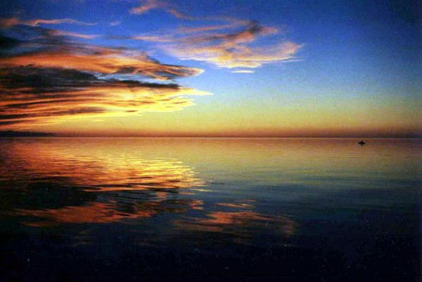 Дмитрий Чечурин