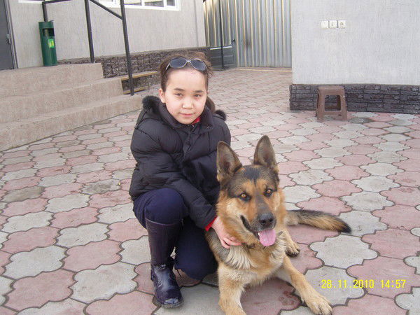 Рамина Авамысымова