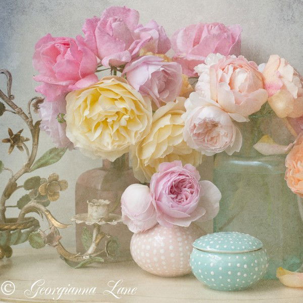 Наталия Сергеева