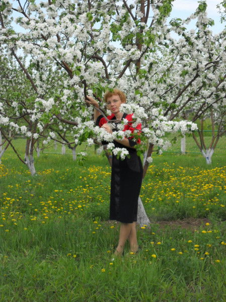 Елена Соловьёва