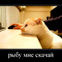 Владимир Ковбаса