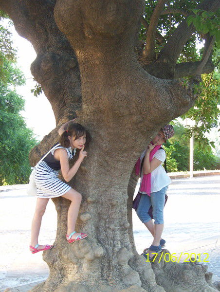 Софья Развина