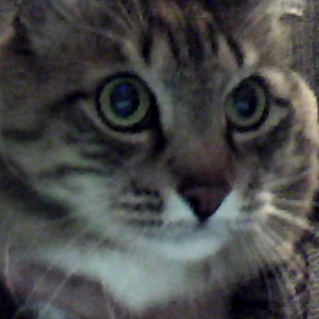 Альберт Халиков