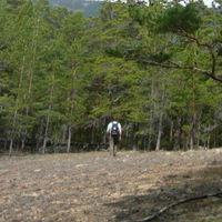 Дмитрий Ботоев