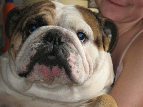 Наталья Романова