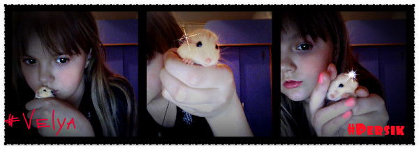 #тошенька ...