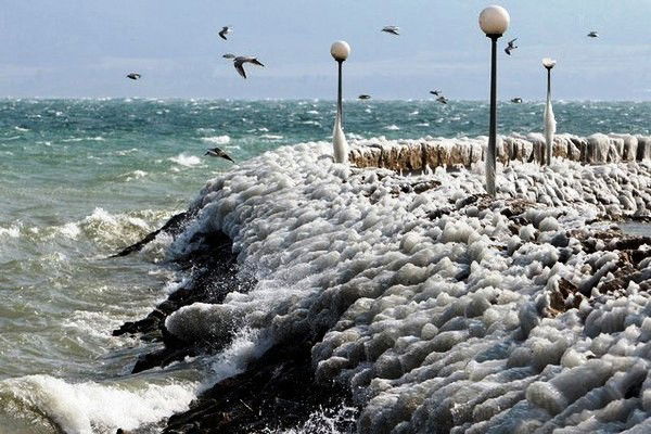 Катя Солодаренко