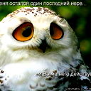 Игорь Хомм