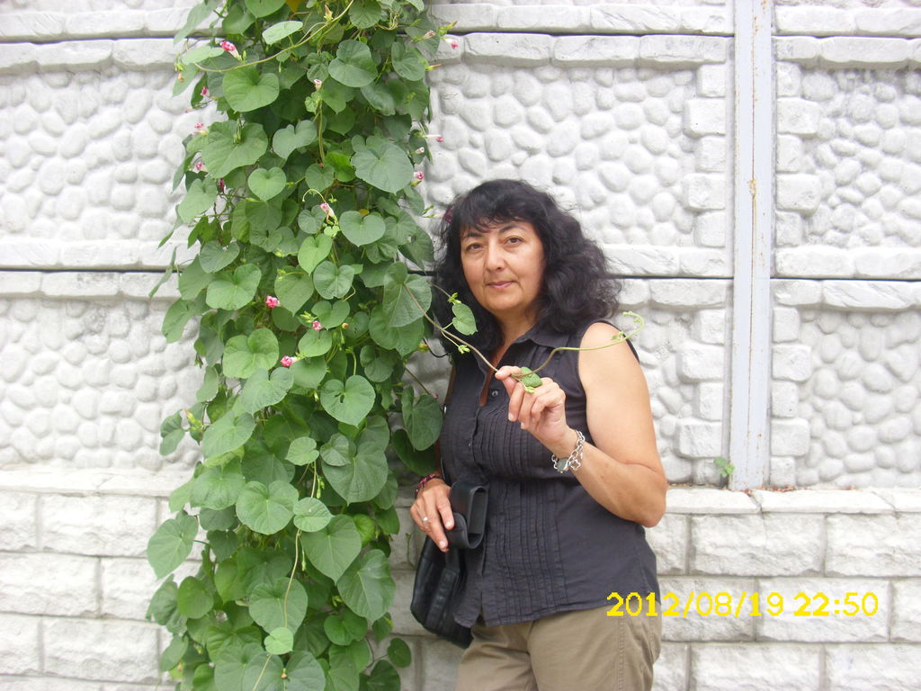 Елена Зайнетдинова