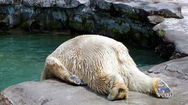 Раиль Хафиатулин