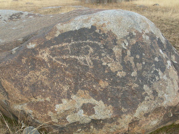 Юрий Шевяхов