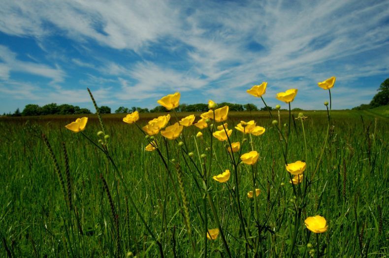 красивая картинка