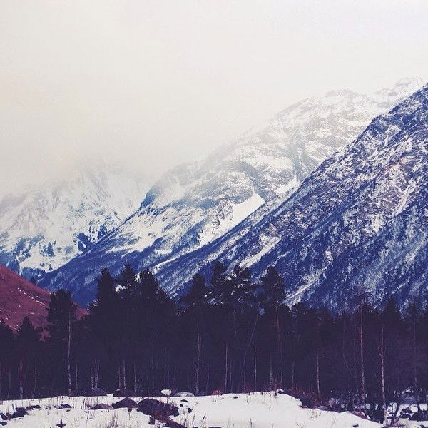 Анастасия Гурдяева