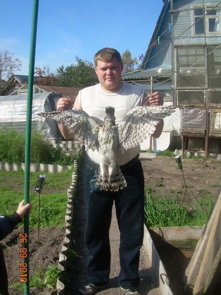 Константин Осьмак