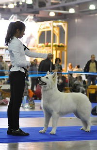 Натали Аронова