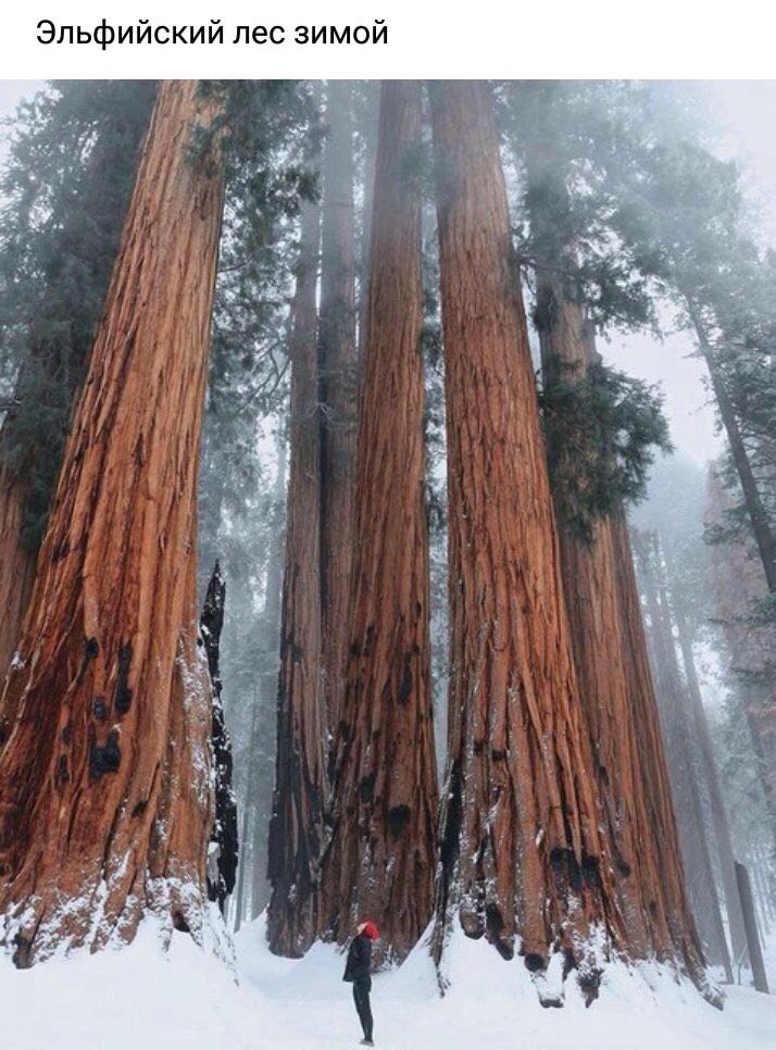 Жанат Турганбаев