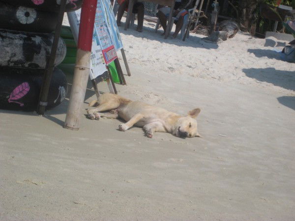 Ольга Лесная