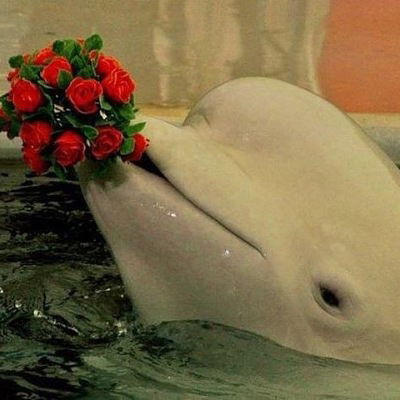 Руфина Шамигулова