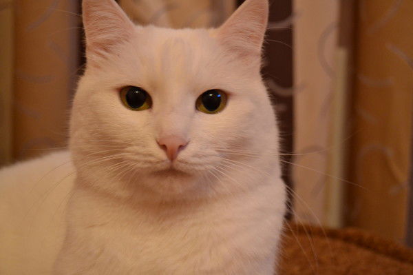 *~*альбина*~ *