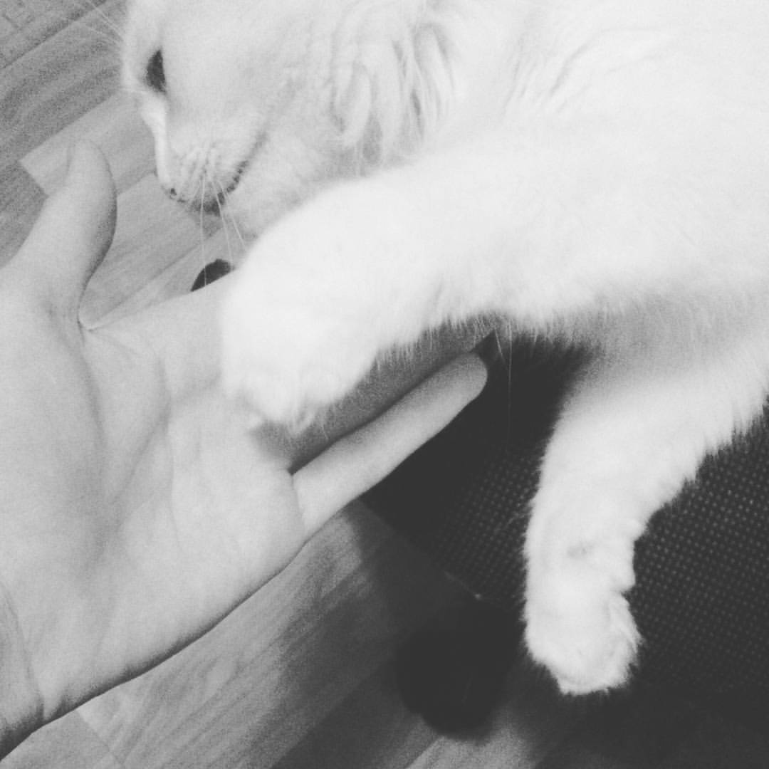 Александр Никифоров