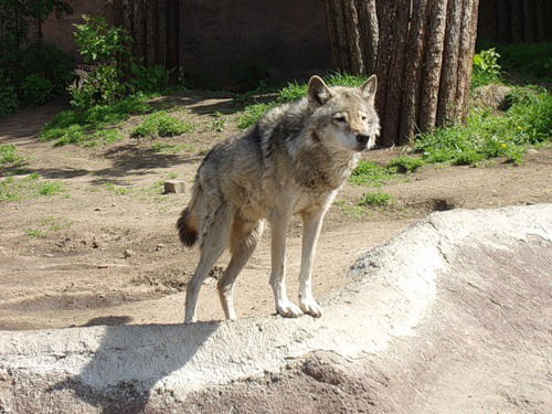 Морохин Юрий