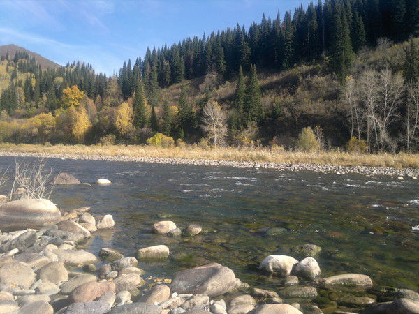 Ольга Манеева