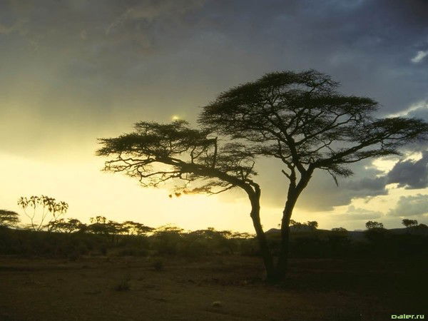 Игорь Попофф