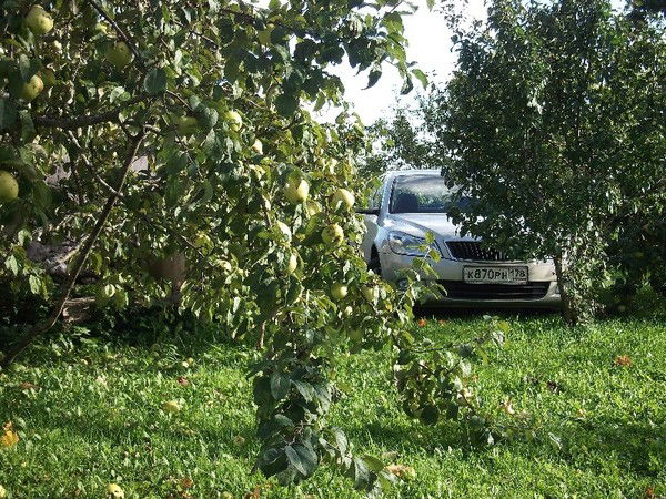 Дмитрий Карлсон