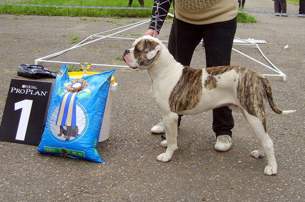 Татьяна Ермакова