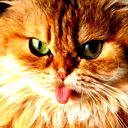 Константин Крапивин