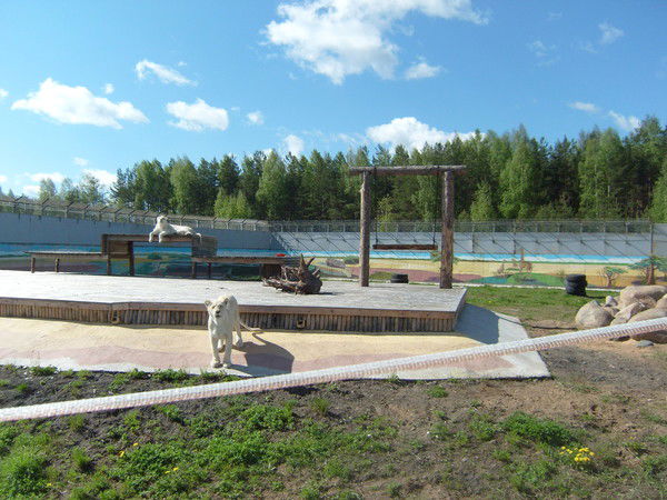 Галина Андрейчук