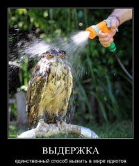 Юлия Федорова