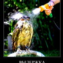 Юлия Федорова