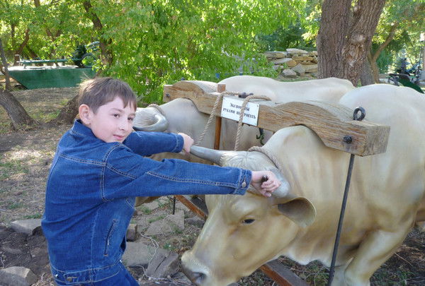 Анвар Хафизов