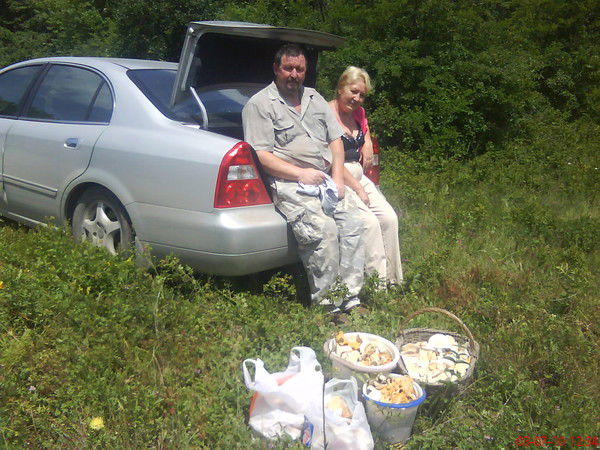 Николай Анисимов