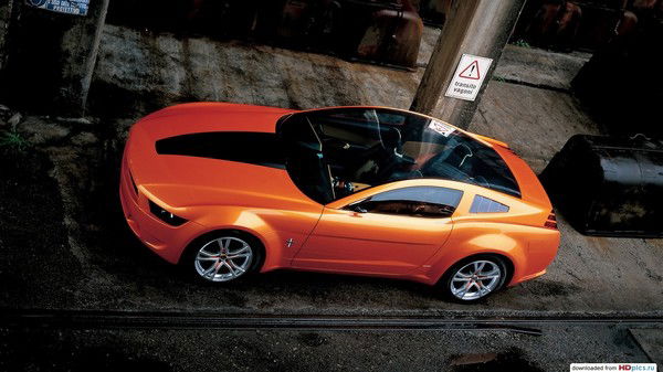 Александр Турцев