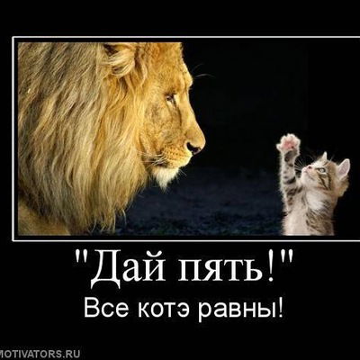 Кити Дикая-Кошка