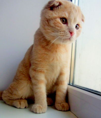 Александр Ромадин