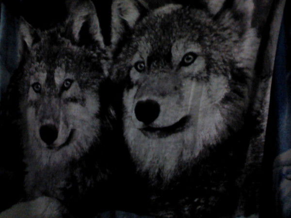 Санёк Шабанов