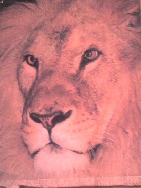 Валерий Петров