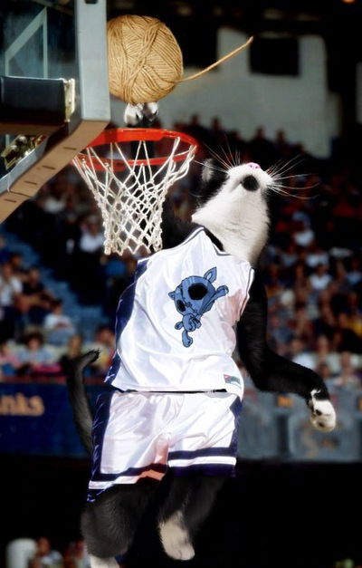 Алексей Месник