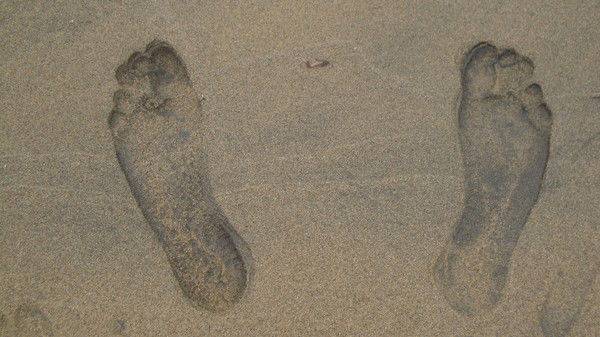 Артем Давидовский