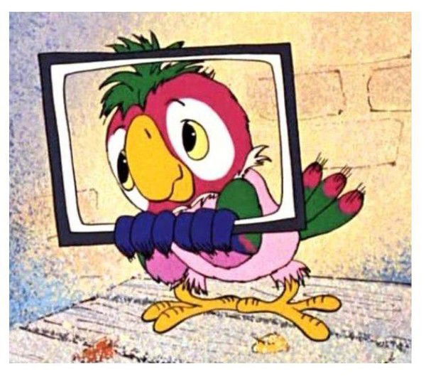 Виталий Канцеров